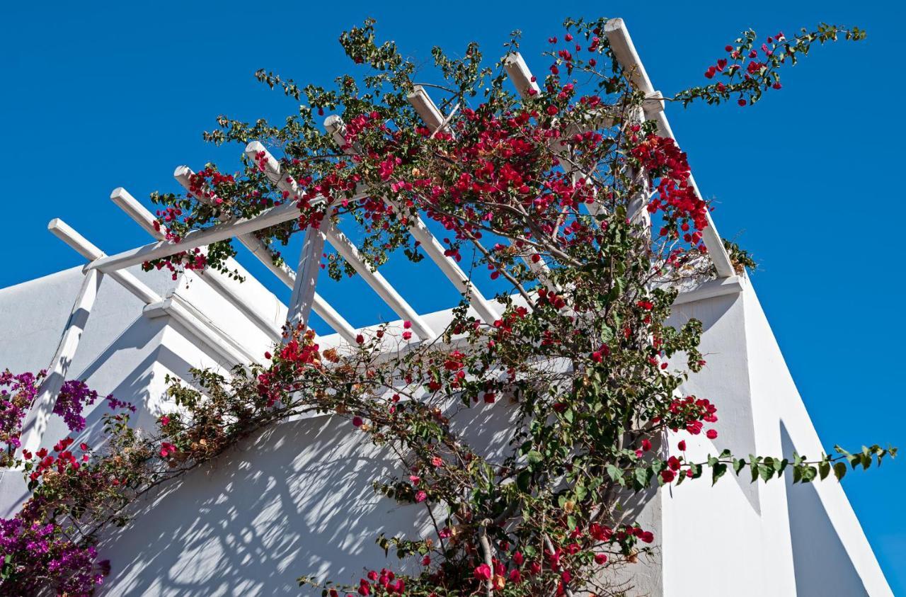 Casa Cozy Villa Mykonos Town Exterior foto